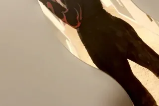 ashley winter duo W/ Lauran 💕 ... - Image 4